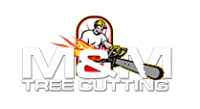 Discounted Tree Cutting and Removal Company