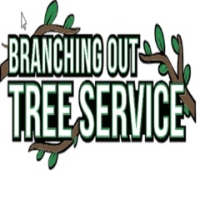 Tree Service & Removal Long Beach