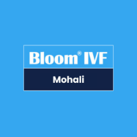 Videographer Bloom IVF Centre Mohali in Mohali, Punjab, India 