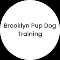 Videographer Brooklyn Pup Dog Training in Brooklyn NY