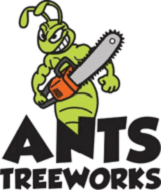 Videographer Ants Treeworks Pty Ltd in  