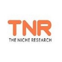 The Niche Research