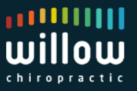 Willow Chiropractic - Bedminster