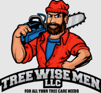 Tree Wise Men LLC