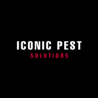 Iconic Pest Solutions - Pest and Termite Experts in Sydney