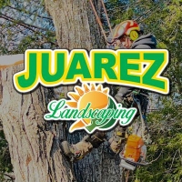 Juarez Landscaping