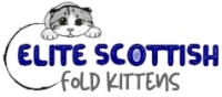 Elite Scottish Fold Kittens TX