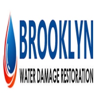 Videographer Flooded Basement Cleanup Companies Long Island in 91 N Franklin St #110a, Hempstead, NY 11550 