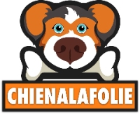 CHIENALAFOLIE