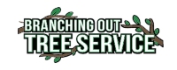 Tree Service & Removal Nassau County