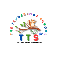 The Tenderfoot School  Jaipur