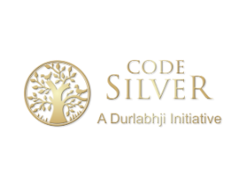  Company Logo by Code Silver in  